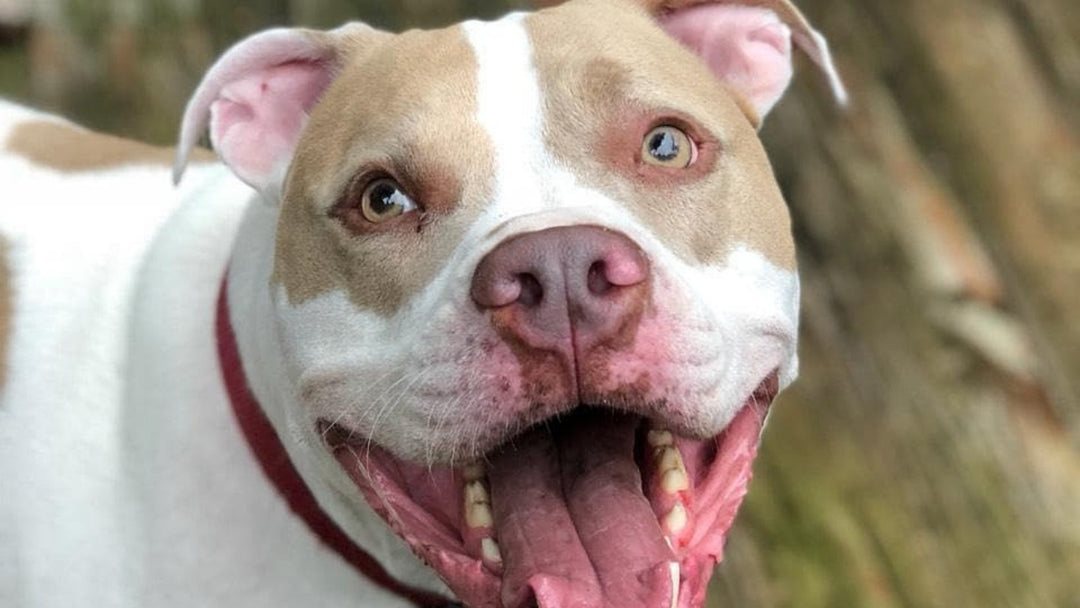 Cassius's Story | MindfulGifts