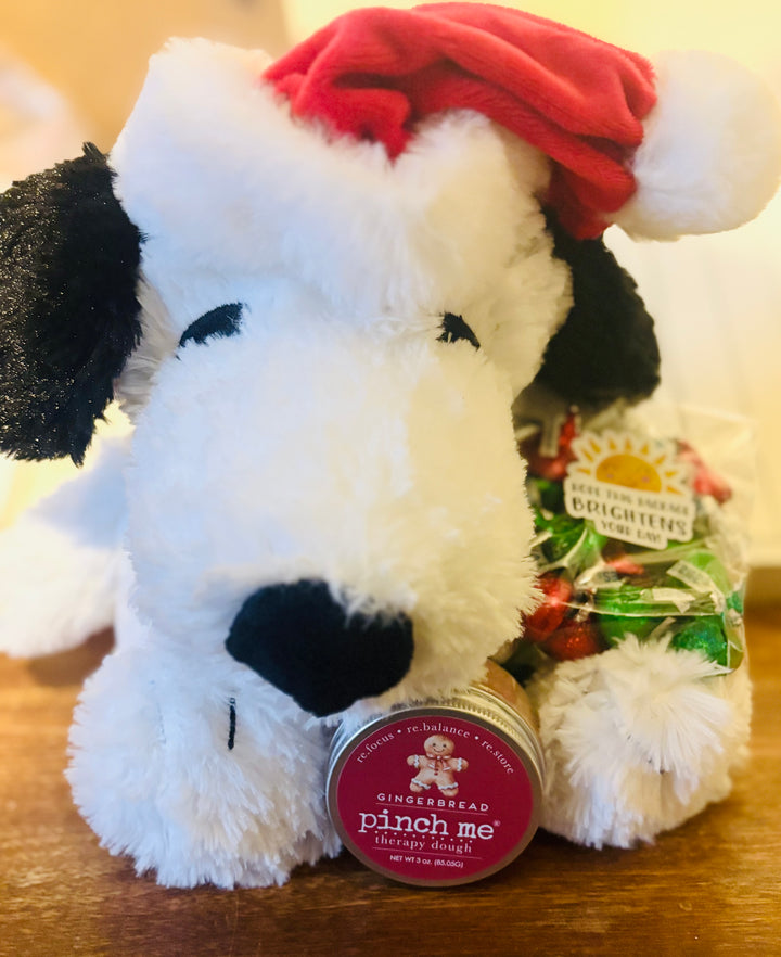 Snoopy Warmies Holiday Gift Set