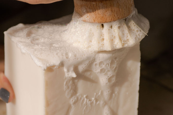 Casa Agave™ Dishwashing Hand Brush - MindfulGoods